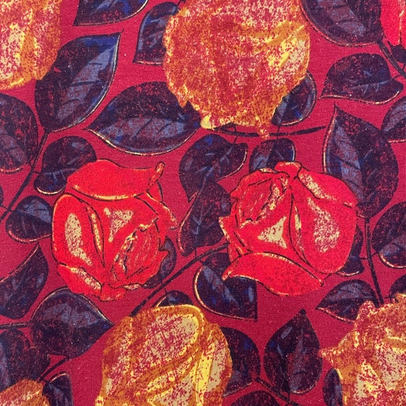 Lularoe carly dress - Picture 2 of 5